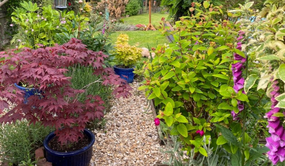 How to create a stunning border in your garden