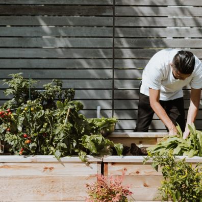 2023 is going to be the year gardeners focus on smart gardening